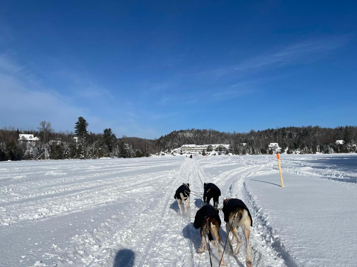 Pourvoirie Du Lac Blanc Villa Saint-Alexis-des-Monts Buitenkant foto